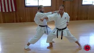 Intermediate Kihon techniques