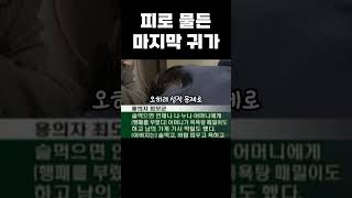 한국 실화 사건! 피로 물든 마지막 귀가... 서울 종로구 송 양 살인사건