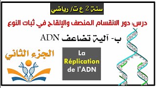 شرم مفصل لآلية تضاعف ADN ✅ ثانية ثانوي