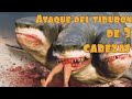 Todas las Muertes del Tiburón de 3 Cabezas (2015)  3-Headed Shark Attack