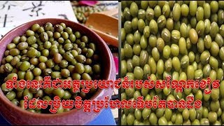 ទាំងនេះគឺជាអត្ថប្រយោជន៍របស់សណ្ដែកខៀវ ដែលប្រិយមិត្តប្រហែលទើបតែបានដឹង , kayi