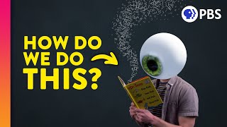 The Unbelievable Science of How We Read