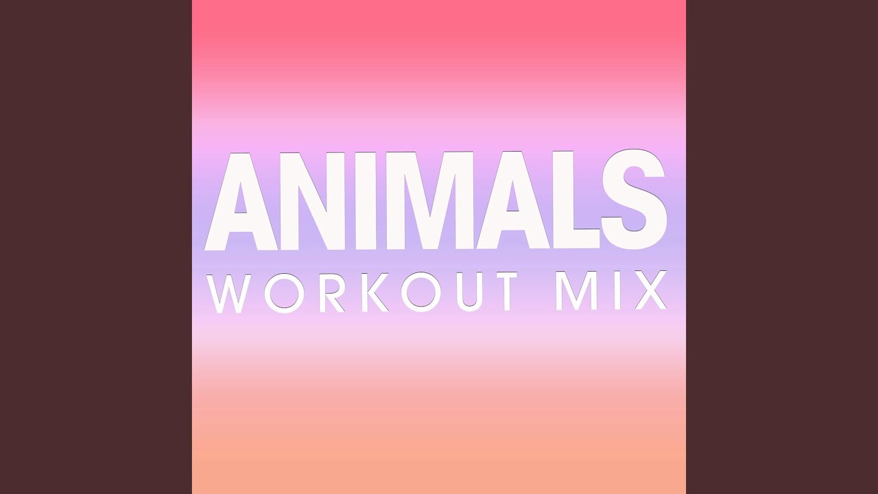 Animals Workout Mix Youtube