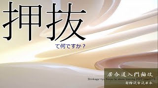 【居合道入門編改】「押抜」とは？　居合独稽古（登録者1000人目標）