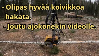 Tosi hyvää koivu uudistushakkuuta ja ajokonekin pyörähti videolla. Ponsse Scorpion K H7 AC FC