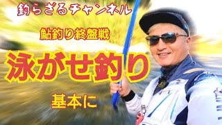 【鮎釣り終盤戦】観光スポット巴川で泳がせ釣りを中心に 友釣り