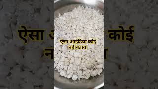 बिना मेहनत के##मनीषा रायशॉर्ट