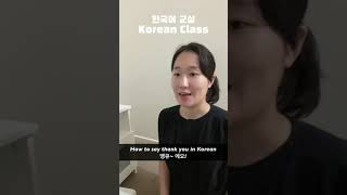 한국어 튜터하면서 실제로 있었던 일 Let’s learn Korean ep.01