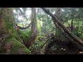 【4k】佐渡島遠征 金北山！ドンデン山荘から白雲台縦走