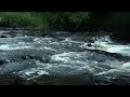 fast flowing river sounds 1 hour relax with nature