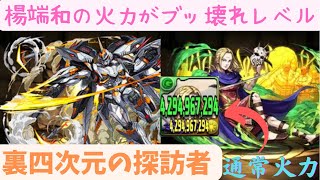 【パズドラ】強化された楊端和が強すぎる！裏四次元の探訪者