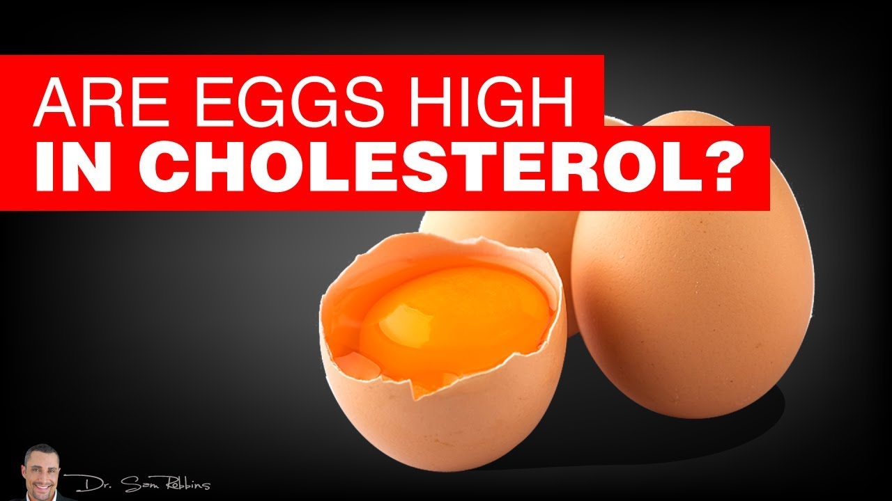 Are Eggs High In Cholesterol By Dr Sam Robbins Youtube