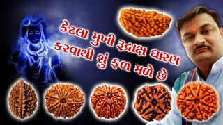 કેટલા મુખી રુદ્રાક્ષ પહેરવાથી શું ફળ મળે છે, Rudraksh, रुद्राक्ष के प्रकार अनुसार लाभ