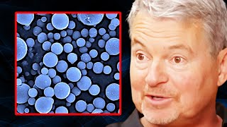 Is Nano-Hydroxyapatite Toothpaste Safe? | Dr. Mark Burhenne