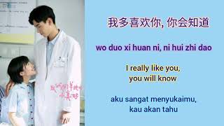 A Love So Beautiful到我们单纯的小美好OST(LYRIC/ENG/INDO)- Wo Duo Xi Huan Ni, Ni Hui Zhi Dao - Wang Jun Qi王俊琪