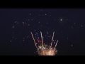 Hive (Stinger Brand Fireworks)