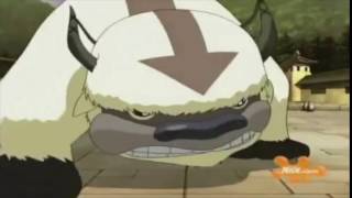 APPA- The Last Airbender