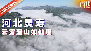 雨后初晴的九岭村，云海奇观如梦似幻！你见过仙境般的山村吗？｜【Hebei Moment河北：精彩时刻的记录者】