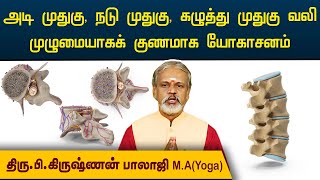 அடி முதுகு, நடு முதுகு, கழுத்து முதுகு வலி முழுமையாகக் குணமாக யோகாசனம் | Krishnan Balaji |