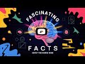 Fascinating Facts About the Human Mind