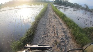 Jalan Rahasia ke GBLA, Sampe lewat Sawah!!!