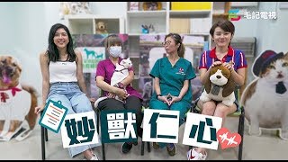 27/5《愛護同事協會》第九集 - 妙獸仁心