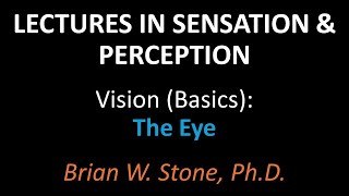 Sensation and Perception - Vision Basics Pt1 - The Eye