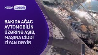 Bakıda ağac avtomobilin üzərinə aşıb, maşına ciddi ziyan dəyib