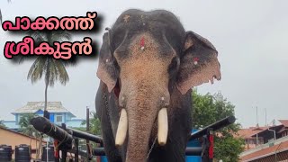 പാക്കാത്ത് ശ്രീകുട്ടൻ | pakath sreekuttan