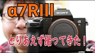 SONY α7RIII とりあえず撮ってみた！ α7RⅢはバケモノか！