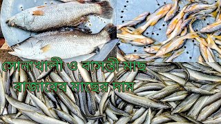 সোনাখালী ও বাসন্তী মাছ বাজারের মাছের দাম 2024 || Sundarban fish price #fish #2024 #india #viralvideo