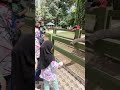 aku pergi kuala gandah  korang aku tengok gajah betul betul