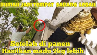 REKOOR MADU‼️ disalah satu rumah tetangga bikin ember lubeeer‼️