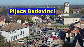 Pijačni dan sreda Badovinci u Mačvi