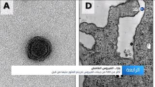 بعد رعب كورونا .. «يارا» فيروس جديد يهدد العالم