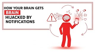 How your brain gets hijacked by notifications |Psychology video |psychology |
