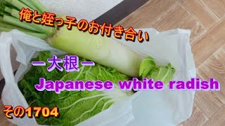 俺と姪っ子のお付き合い－大根－その1704 Japanese white radish