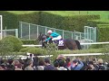 アンジュデジール（横山典弘）、jbcレディスクラシックのウィニングラン。現地映像、京都競馬場