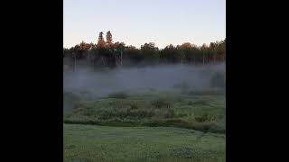 Kikino Metis  Settlement summer morning