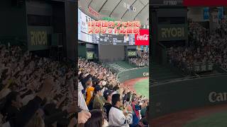 【楽しい！】12球団のファンでスクワット応援歌 #プロ野球 #スクワット応援歌 #応援歌 #広島東洋カープ #プレミア12 #premier12 #野球観戦 #東京ドーム