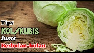 Cara Menyimpan Kol Kubis Awet Tahan Lama Berbulan-bulan | HOW TO PRESERVE CABBAGE FOR MONTHS