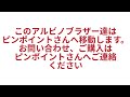 アルビノ過背金龍入荷！ アルビノブラザーとは？トロピカルフィッシュ佐野