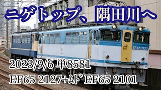 単8581レ 隅田川貨物駅送り込み