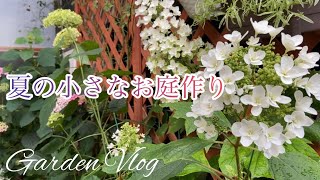 【ガーデニングVlog】６月の小さなお庭／紫陽花アナベルなど／夏の球根植えつけ／住宅展示場訪問・間取り考えてみた