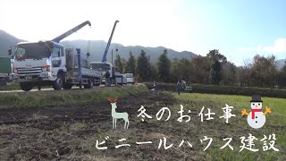 【ビニールハウス建設】農業男児の冬のお仕事