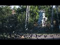 huge flock of starlings on the streets of the city of slow motion