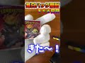 【遊戯王ラッシュデュエル　＃shorts 毎日パック開封！！316日目