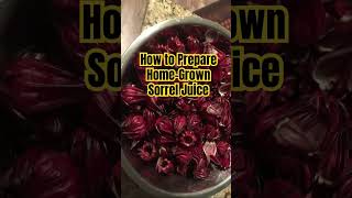 Hibiscus sorrel! Watch video attached to this short on how to prepare them for juicing. #sorrel