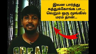 ஒரு மூங்கில் மரம் நம் கனவை அடைய வைக்கிறது | A motivational story