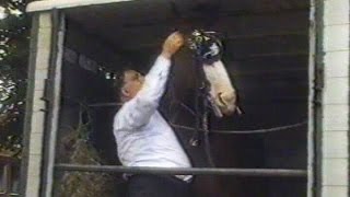 1992 Hoorn: dag van het paard